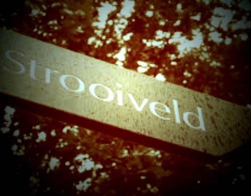 crematie as en mogelijkheden